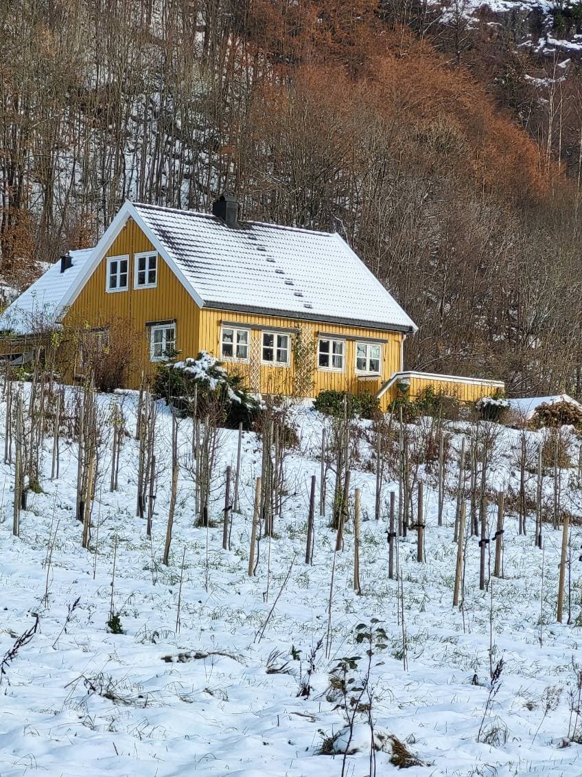Vinter på Skråstad